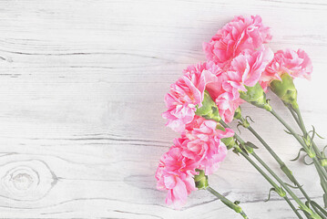 A bouquet of pink carnations on a white wooden background, top view, copy space. 