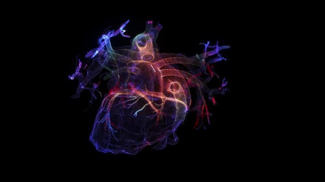 Human Circulatory System Heart Beat Anatomy Animation Concept.Motion animation of human heart. Digital technology visualization of 3d.