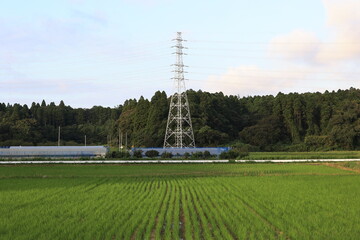 曇りの田舎町