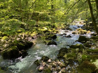 Small mountain river Gerovčica, Zamost - Region of Gorski kotar, Croatia (Mala gorska rijeka Gerovčica ili goranska rječica Gerovčica, Zamost - Gorski kotar, Hrvatska)