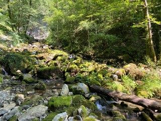 Small mountain river Gerovčica, Zamost - Region of Gorski kotar, Croatia (Mala gorska rijeka Gerovčica ili goranska rječica Gerovčica, Zamost - Gorski kotar, Hrvatska)