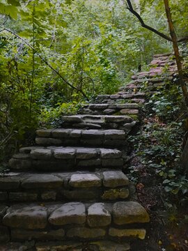 Ancient staircase in the forest