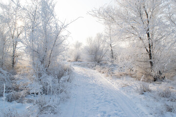 road in winter