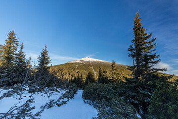 Fototapeta na wymiar Path to the top of Czech Republic on a winter morning