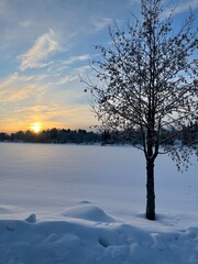 Winter sun light and snowy trees by frozen lake. Valkeisenlampi, Kuopio, Finland