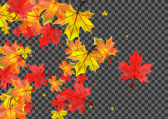 Fototapeta premium Ocher Plant Background Transparent Vector. Foliage October Illustration. Colorful Design Leaf. Isolated Floral Template.