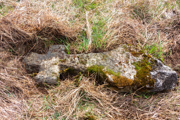 Naklejka na ściany i meble Religious cross lying in the grass in a abandoned graveyard