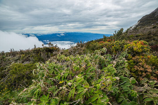 View from Laban Rata, near the top of Mt. Kinabalu