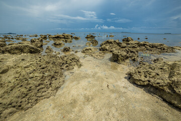 Fototapeta na wymiar Sea bed in low tide with coral, Borneo