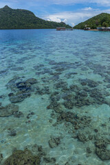 Fototapeta na wymiar Clear water of Bohey Dulang, Tun Sakaran Marine park, Borneo