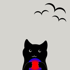 cat with red ball look in sky and birds