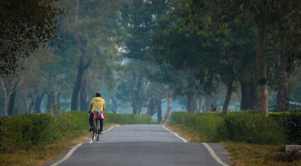 Obraz premium A man going for his daily work by a cycle in the trees.