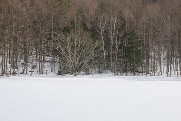 	全面結氷した松原湖