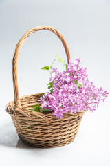 Fototapeta na wymiar basket with lavender