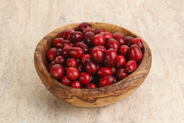 Ripe sweet tasty cranberry in the bowl