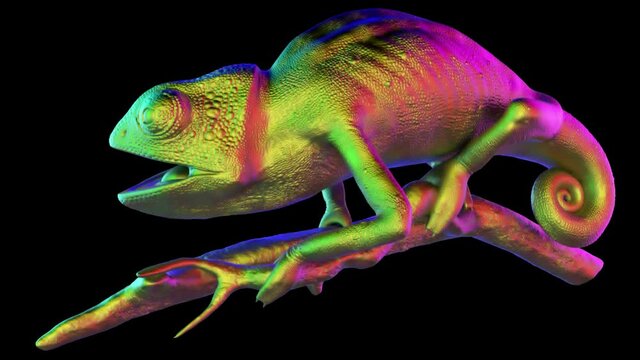 Colorful Chameleon - 3d render looped with alpha channel.