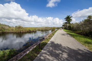 Everglades swamp