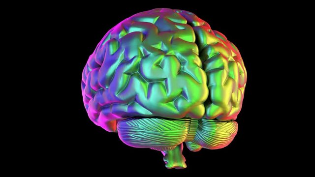Colorful brain rotating - 3d render looped with alpha channel.