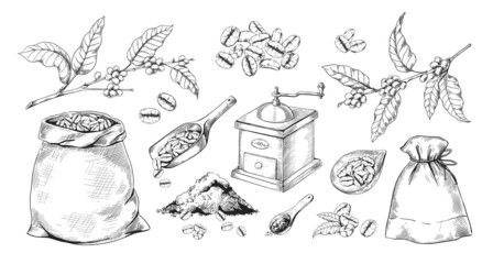Engraved blend coffee. Hand drawn tree branch with beans. Full sack of Arabica and vintage grinder sketch. Aromatic powder heap. Retro mill and spoons. Vector isolated elements set