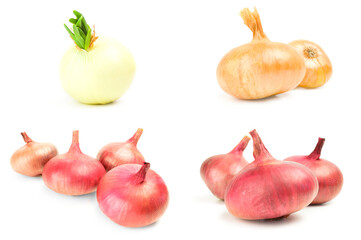 Collection of Bulb of onion over a white background