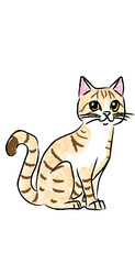 cat illustration