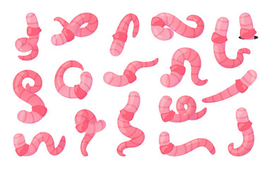 Cartoon earthworm. Cartoon farm and garden earth worm. Fishing bait. Squirming insects. Pink soil crawlers. Wild animals. Ground or manure creature. Crawling angleworms. Vector bugs set