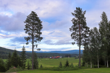 Fototapeta na wymiar Summer landscape in Swedish countryside at sunset