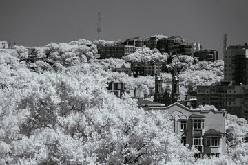 Obraz premium house in winter