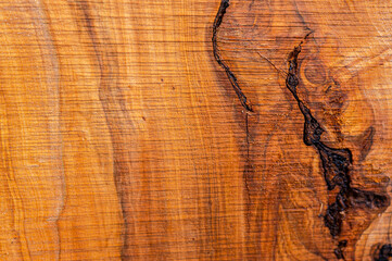 Wood texture, wood background. Apple tree (Malus pumila, Malus domestica). Realistic natural light wood texture.