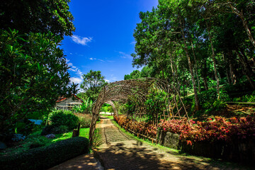 The natural background of colorful flower beds, with chairs to sit and rest while watching the scenery, the wind blows through the blur, cool and comfortable.