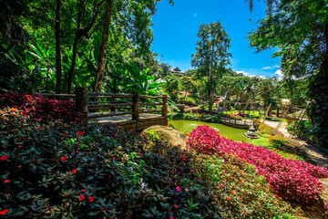 Obraz premium The natural background of colorful flower beds, with chairs to sit and rest while watching the scenery, the wind blows through the blur, cool and comfortable.