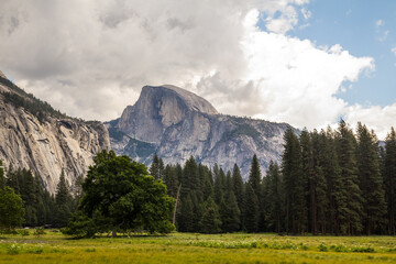 Beautiful Yosemite Valley with Half Dome in the distance.