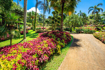 The natural background of colorful flower beds, with chairs to sit and rest while watching the scenery, the wind blows through the blur, cool and comfortable.