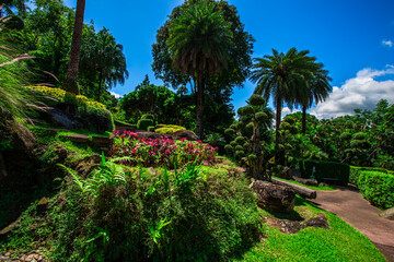 The natural background of colorful flower beds, with chairs to sit and rest while watching the scenery, the wind blows through the blur, cool and comfortable.