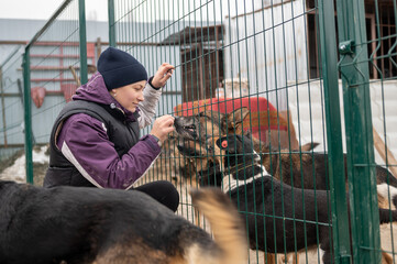 Girl volunteer in the nursery for dogs. Shelter for stray dogs.