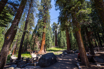 Sequoia National Park