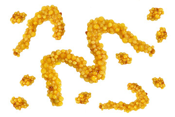 French mustard on isolated white background