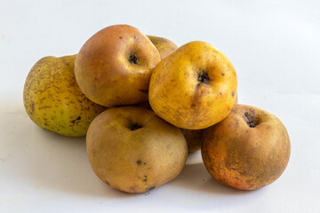 Pommes Reinette de Bretagne sur fond blanc