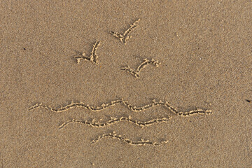 Sea with seagulls painted on the sand.