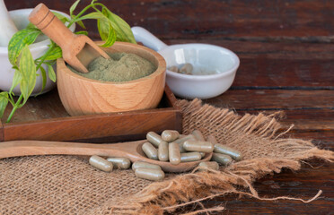 Andrographis Paniculata herbal capsules