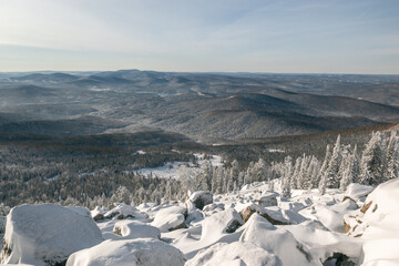Beautiful view of a snowy forest