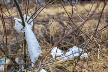 plastic bag like a scarf on a tree branch. the threat of plastic, polluted nature, preservation of the environment