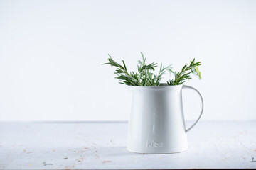 Fresh herbs in a white jug