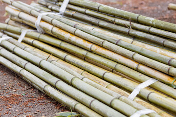 bamboo bundled with tape for easy portability