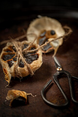 Black Garlic