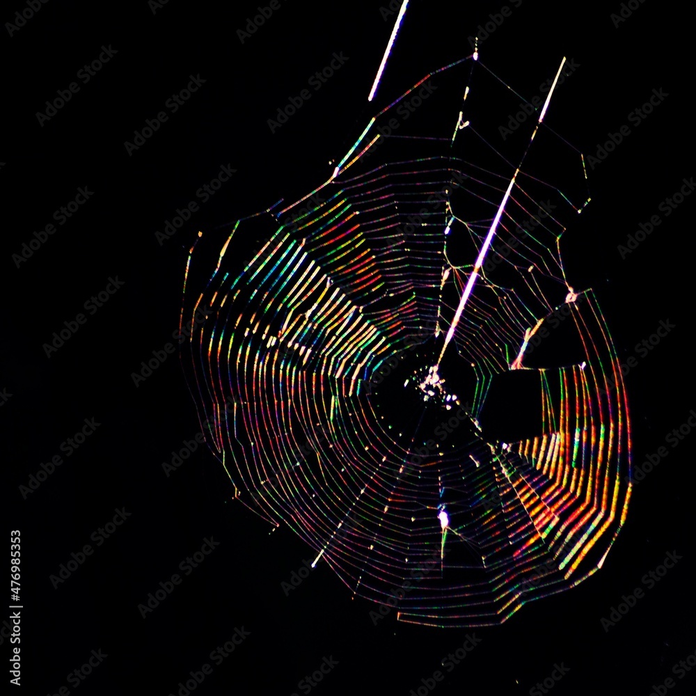 Wall mural colorful spider web in the dark