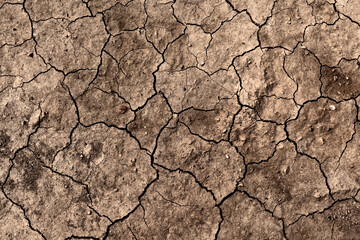 close up mud cracks texture