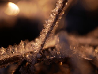 frostiger Sonnenaufgabg