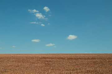 Obraz premium landscape, sky, agriculture, nature, blue, summer, clouds, rural, farm