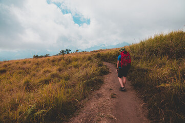 Fototapeta premium person walking in the field